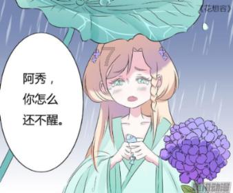 优雅的精灵